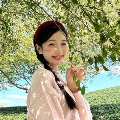 奈良抉择 海报